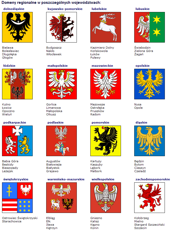 polskie domeny regionalne